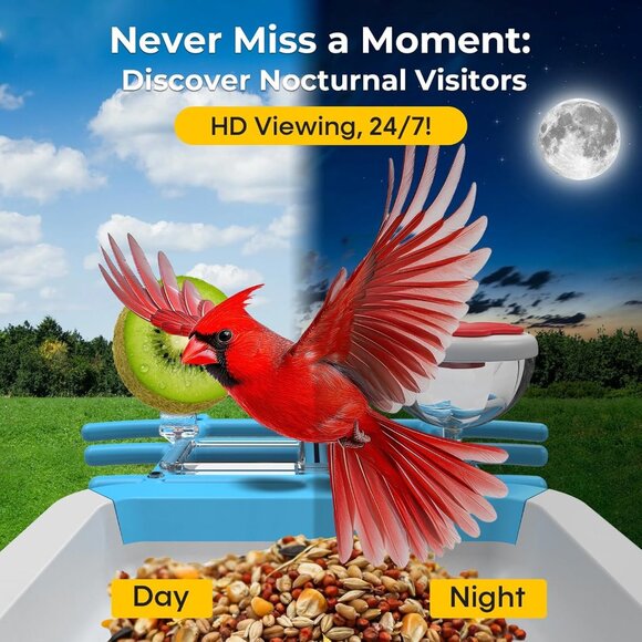 Smart Bird Feeder w Camera AI Bird Identification - Picture 3 of 6